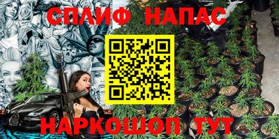гидра Нальчик