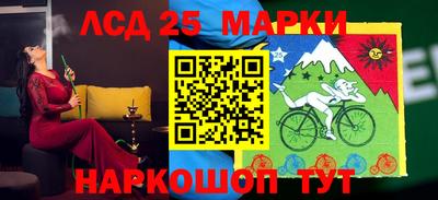 гидра Нальчик