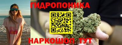 гидра Нальчик