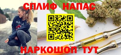 гидра Нальчик