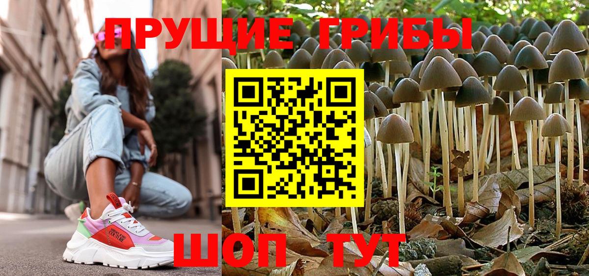 Псилоцибиновые грибы ЛСД  Вход с VPN  наркота  Галлюциногенные грибы Psilocybe  Пугачёв 
