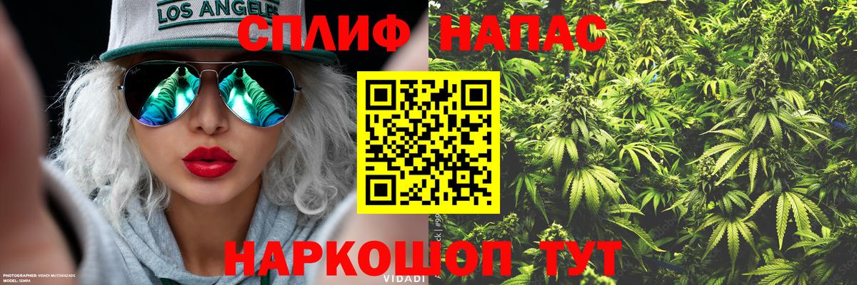 Канабис Ganja Пугачёв